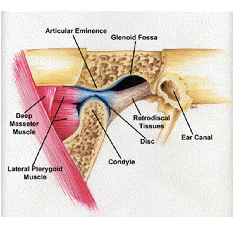 Cirurgia Buco-Maxilo-Facil ATM(DTM)
